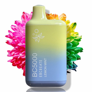 EB - Disposable Vapes